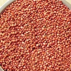 Jowar Red Whole 2Kg